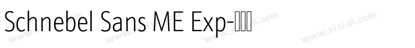 Schnebel Sans ME Exp字体转换 Schnebel Sans ME Exp字体转换